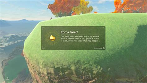 korok seeds|Zelda Breath of the Wild guide: How to increase your .